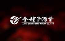 金种子酒业